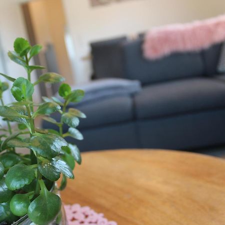 Ferienhaus Seehuis, Sauna, Angeln, Familienfreundlich Twist Esterno foto